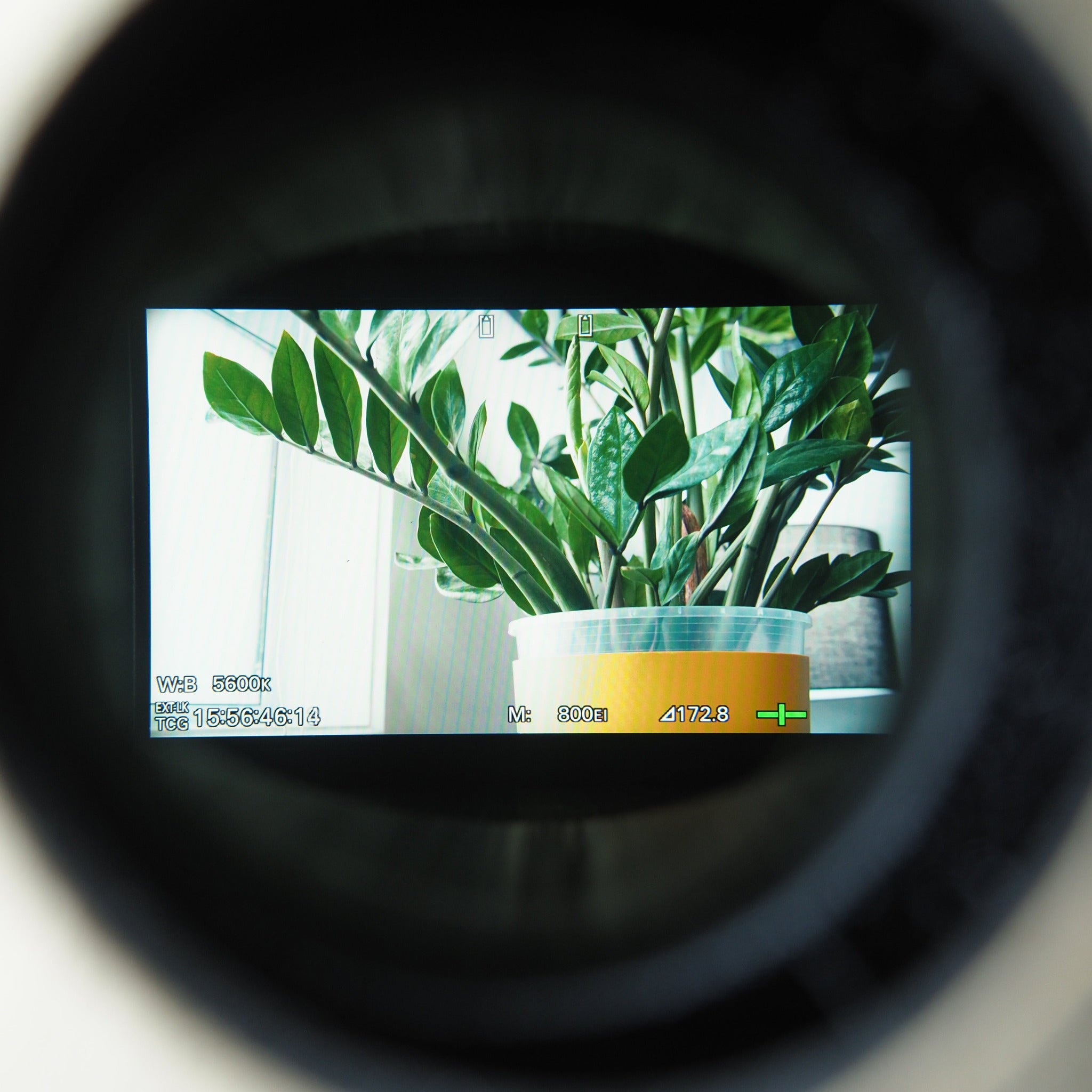 Photo in first person perspective of looking through the cineAKS FX6 EVF viewfinder loupe